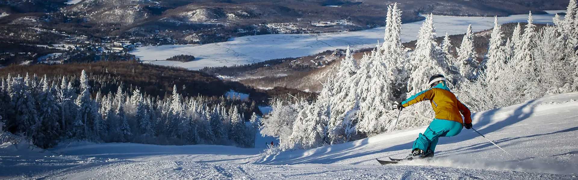 tremblant-snow-tree-trail_r-1920x600